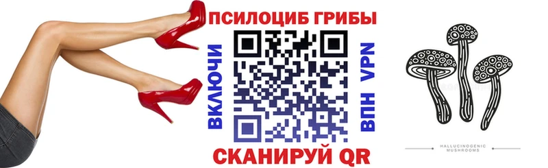 купить   Арск  Галлюциногенные грибы MAGIC MUSHROOMS 